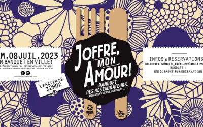 Joffre Mon Amour